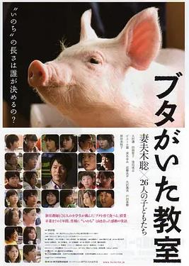 小猪教室