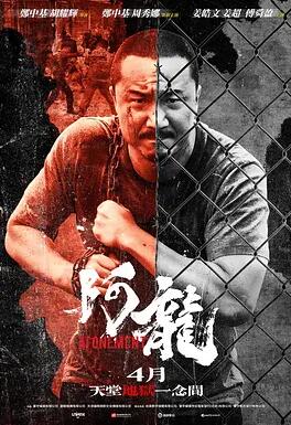 阿龙
