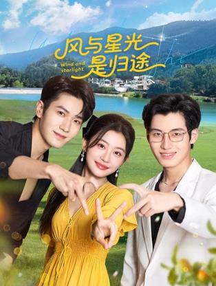 风与星光是归途