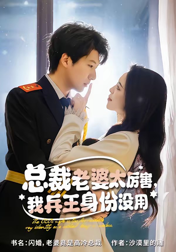 总裁老婆太厉害，我兵王身份没用