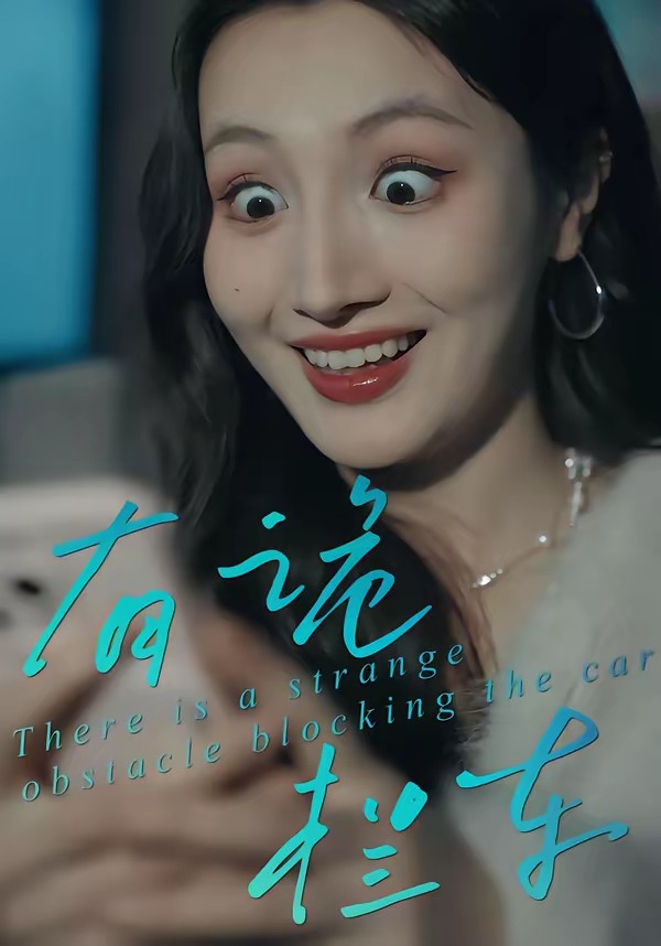 有诡拦车